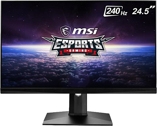 MSI Optix MAG251RX