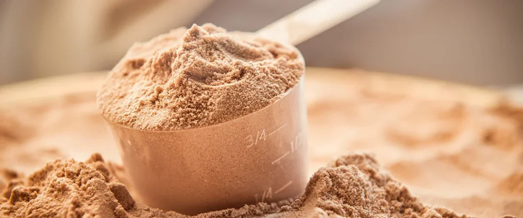 En İyi Protein Tozu Markaları ve Tavsiyeleri